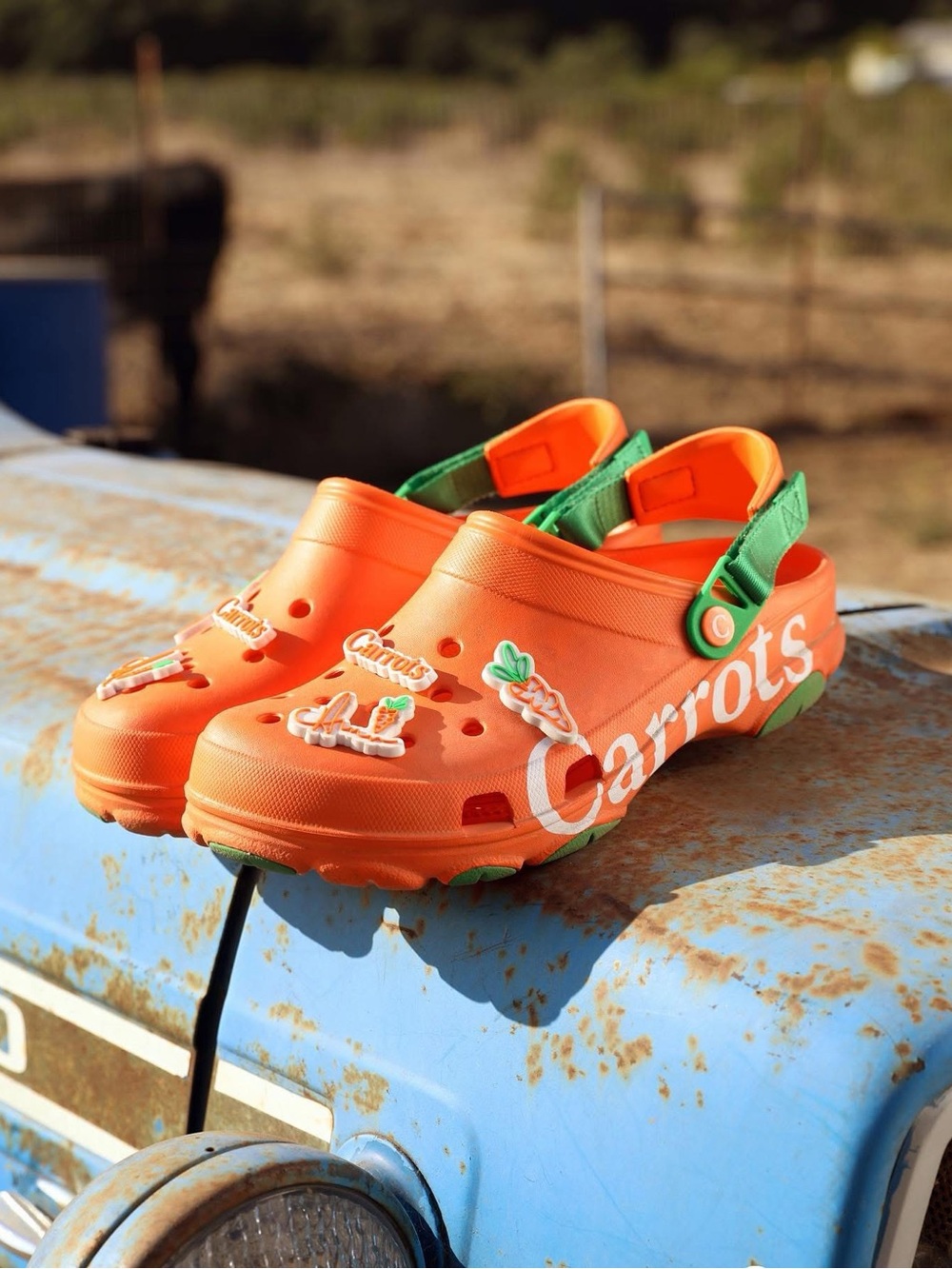 NWT Crocs Unisex Carrots X Classic All Terrain Clogs Orange 207266-810